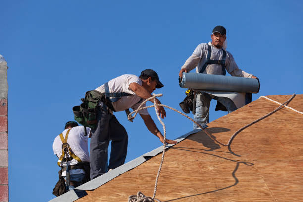 Professional Roofing Contractor in Springerville, AZ