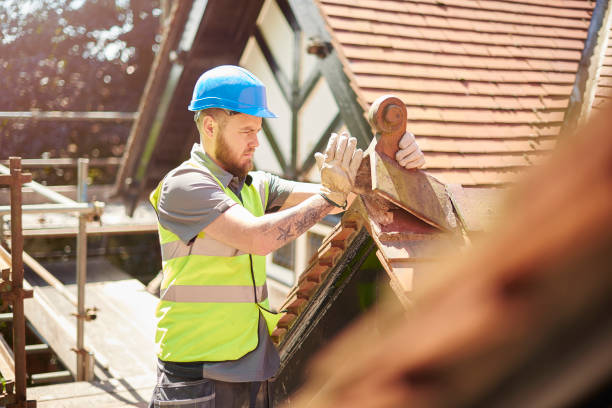 Best Metal Roofing Contractor  in Springerville, AZ